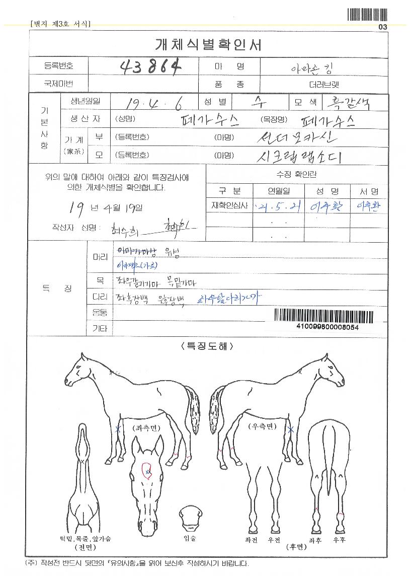 ¾Æ¸¶Á¸Å·ÀÇ Ãø¸é,¿ì¸é,µÞ¸é,µÎ»ó,´Ù¸®ÀÇ Æ¯Â¡µµÇØ