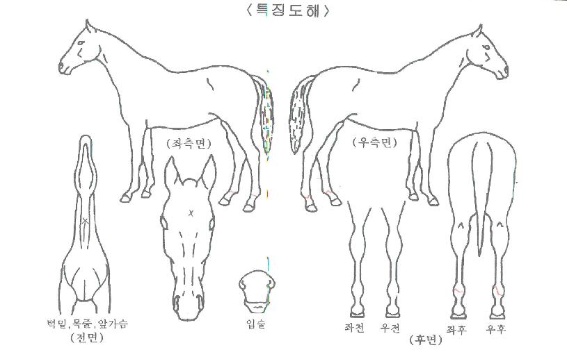 ���丮������ ����,���,�޸�,�λ�,�ٸ��� Ư¡����
