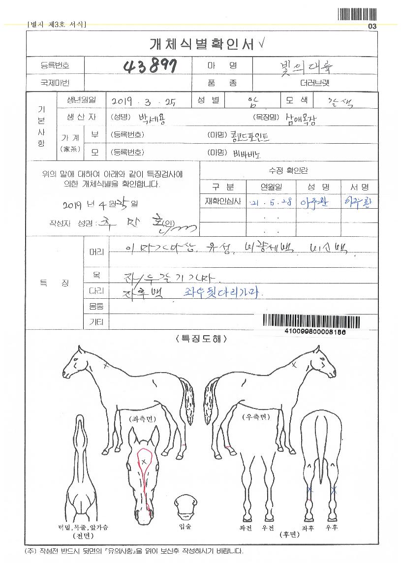 ºûÀÇ´ë·úÀÇ Ãø¸é,¿ì¸é,µÞ¸é,µÎ»ó,´Ù¸®ÀÇ Æ¯Â¡µµÇØ