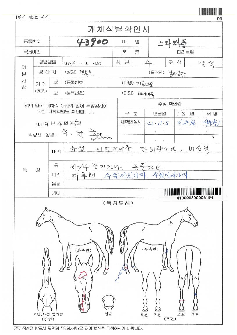 ��Ÿ��ǳ�� ����,���,�޸�,�λ�,�ٸ��� Ư¡����