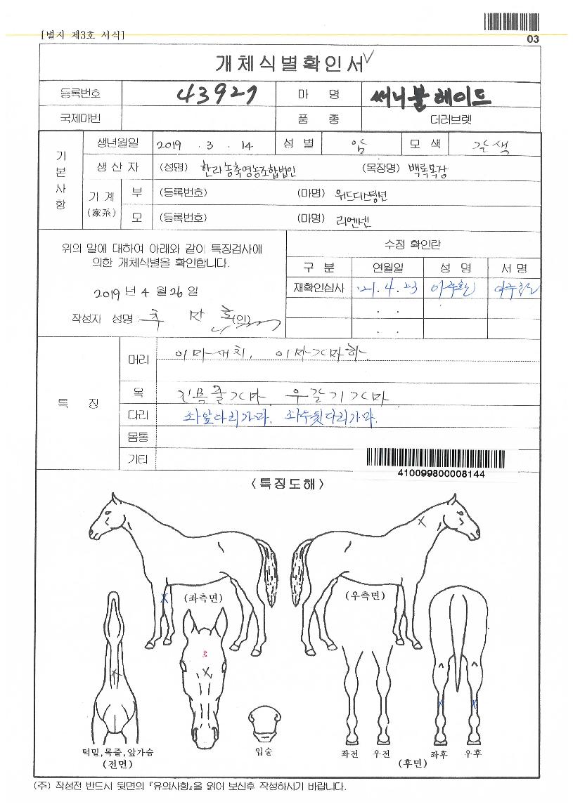 ���Ϻ����̵��� ����,���,�޸�,�λ�,�ٸ��� Ư¡����