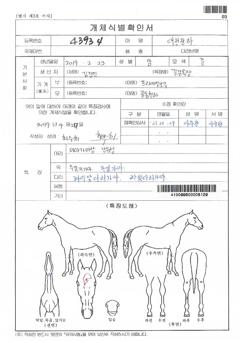 ´ëõõÇÏÀÇ Ãø¸é,¿ì¸é,µÞ¸é,µÎ»ó,´Ù¸®ÀÇ Æ¯Â¡µµÇØ