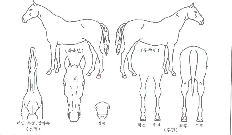 ����ƮŬ������ ����,���,�޸�,�λ�,�ٸ��� Ư¡����