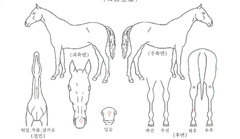 �����ġ�� ����,���,�޸�,�λ�,�ٸ��� Ư¡����