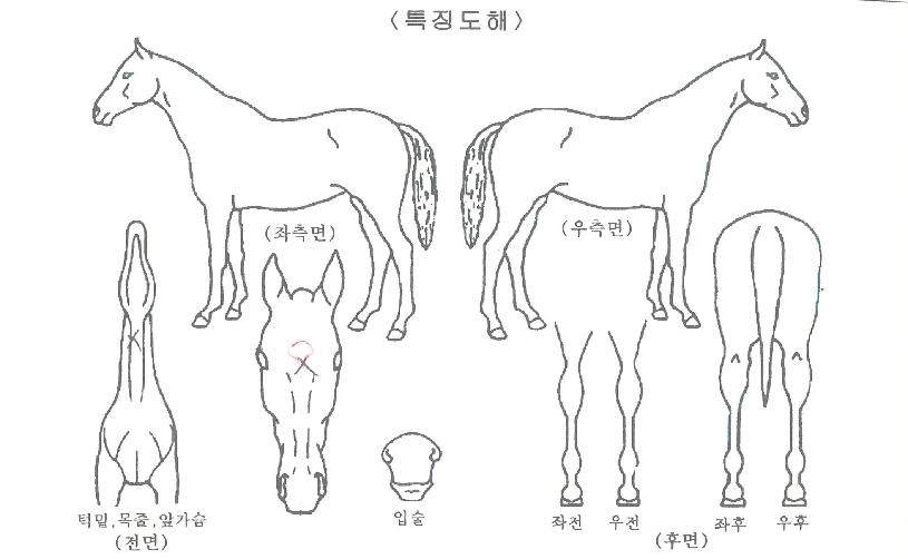 ȣ�������� ����,���,�޸�,�λ�,�ٸ��� Ư¡����