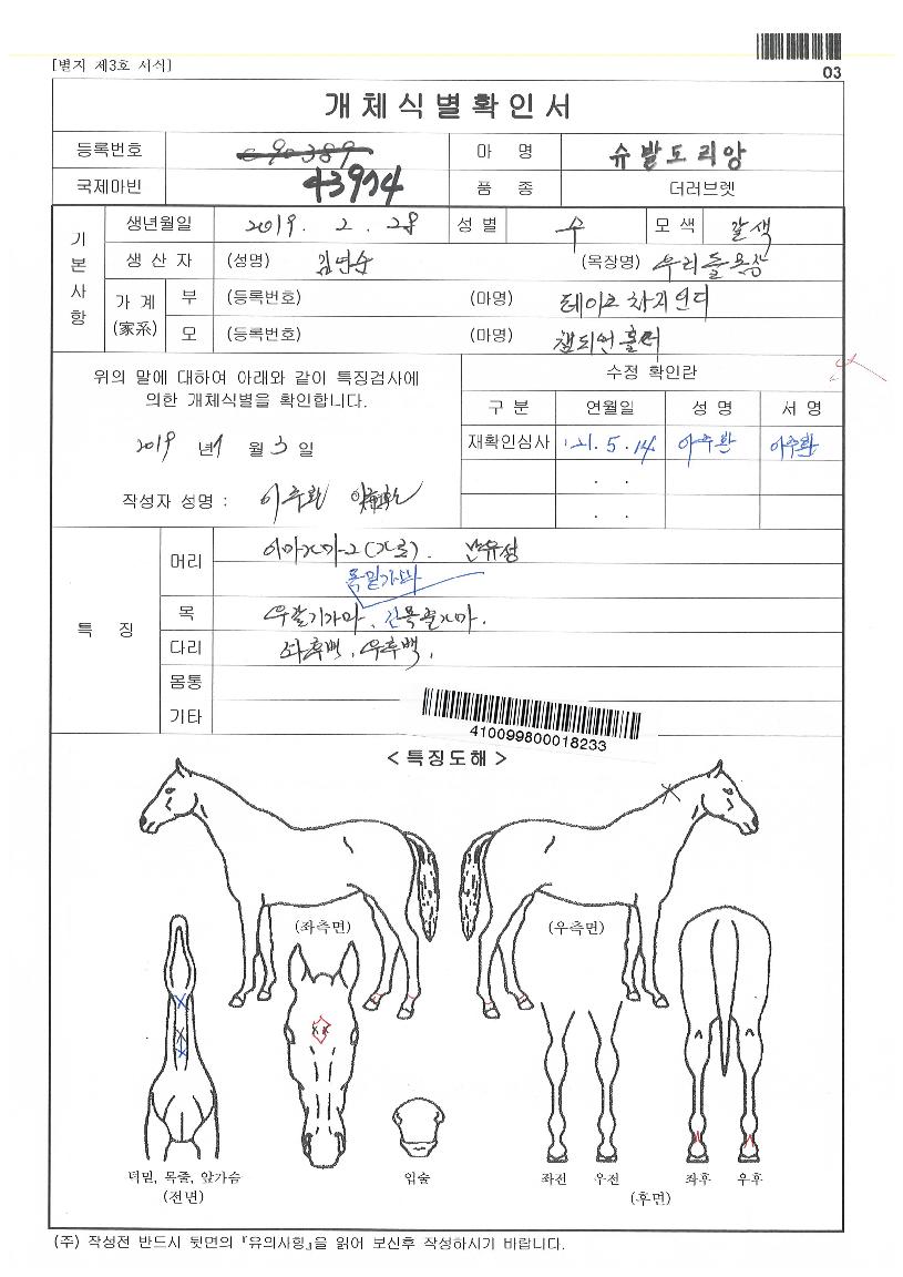 ½´¹ßµµ¸®¾ÓÀÇ Ãø¸é,¿ì¸é,µÞ¸é,µÎ»ó,´Ù¸®ÀÇ Æ¯Â¡µµÇØ