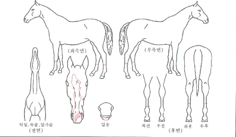 �����ѿ��̽��ڸ��� ����,���,�޸�,�λ�,�ٸ��� Ư¡����