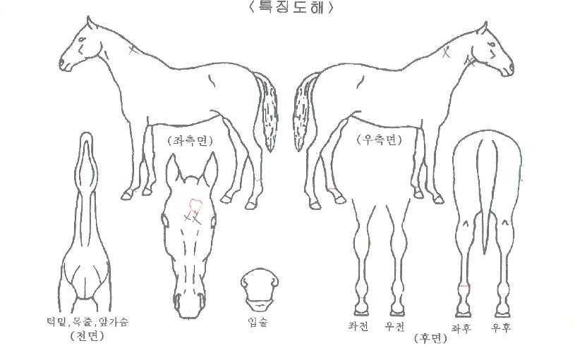 ��ũ����� ����,���,�޸�,�λ�,�ٸ��� Ư¡����