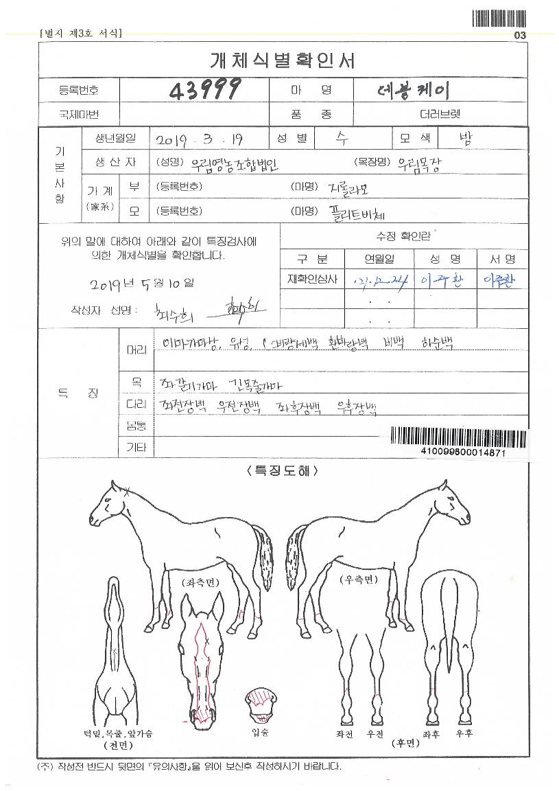 µ¥ºíÄÉÀÌÀÇ Ãø¸é,¿ì¸é,µÞ¸é,µÎ»ó,´Ù¸®ÀÇ Æ¯Â¡µµÇØ