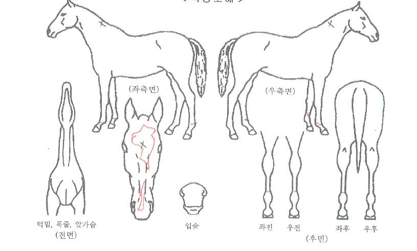 �����Ŭ������ ����,���,�޸�,�λ�,�ٸ��� Ư¡����