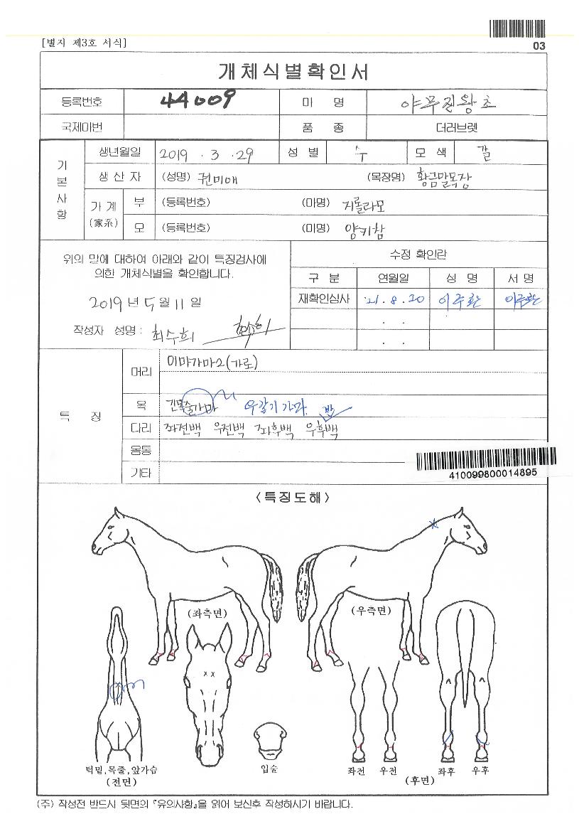 ¾ß¹«Áø¿ÕÃÊÀÇ Ãø¸é,¿ì¸é,µÞ¸é,µÎ»ó,´Ù¸®ÀÇ Æ¯Â¡µµÇØ