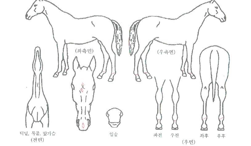 Ƽ�������� ����,���,�޸�,�λ�,�ٸ��� Ư¡����