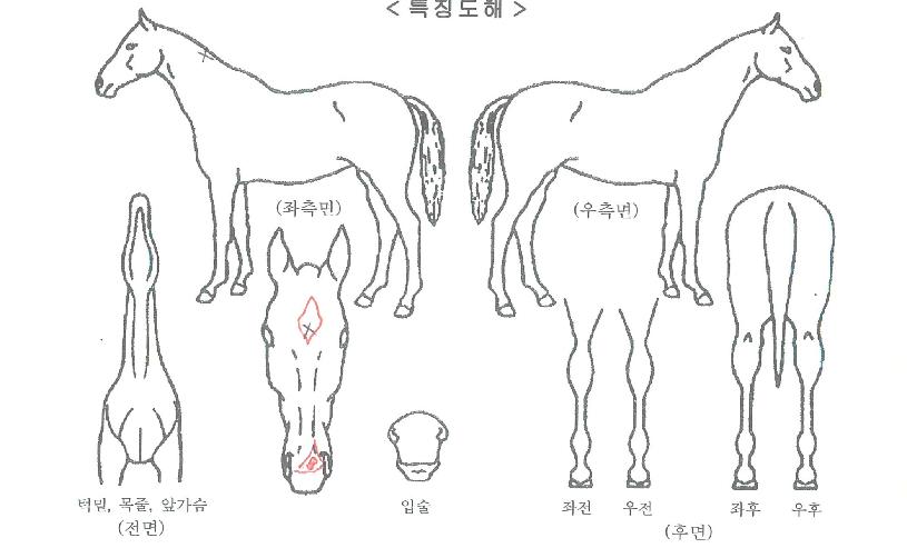 ��������Ű���ڸ��� ����,���,�޸�,�λ�,�ٸ��� Ư¡����