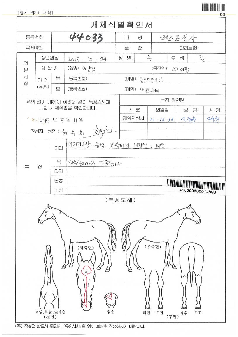 º£½ºÆ®Àü»çÀÇ Ãø¸é,¿ì¸é,µÞ¸é,µÎ»ó,´Ù¸®ÀÇ Æ¯Â¡µµÇØ