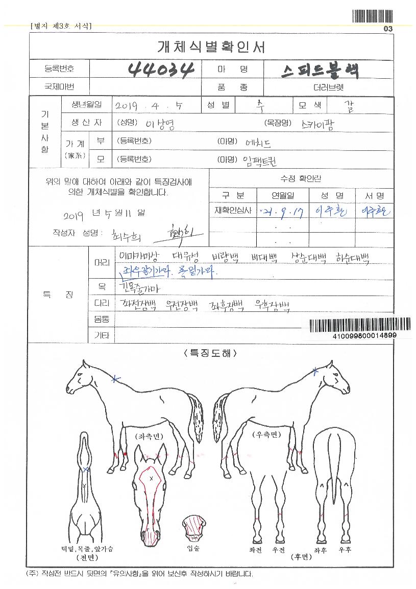 ½ºÇǵåºí·¢ÀÇ Ãø¸é,¿ì¸é,µÞ¸é,µÎ»ó,´Ù¸®ÀÇ Æ¯Â¡µµÇØ