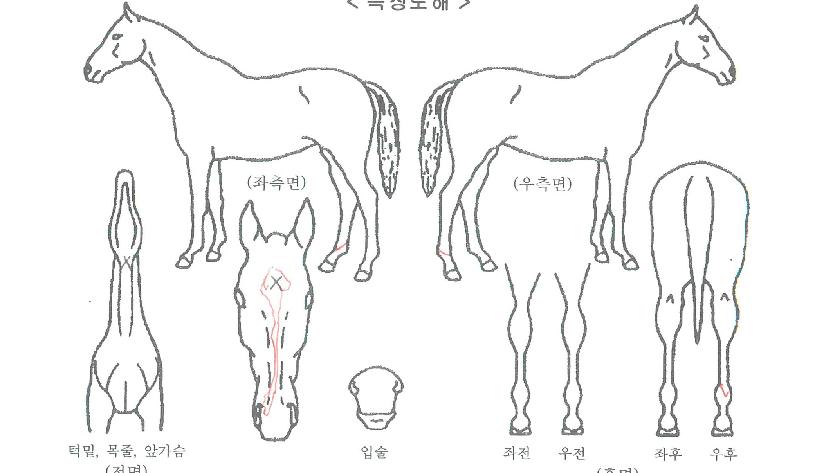 ���÷��� ����,���,�޸�,�λ�,�ٸ��� Ư¡����