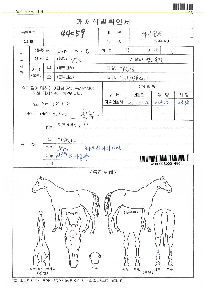 Çã´ÏÆÝÄ¡ÀÇ Ãø¸é,¿ì¸é,µÞ¸é,µÎ»ó,´Ù¸®ÀÇ Æ¯Â¡µµÇØ