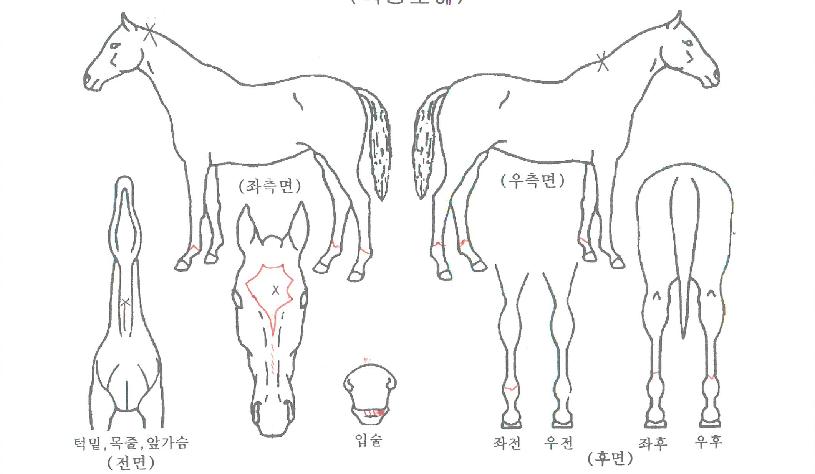 ��Ƽ��ũ�� ����,���,�޸�,�λ�,�ٸ��� Ư¡����