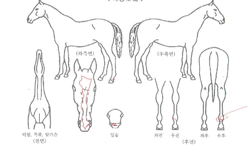 ��Ÿ��ƽ������ ����,���,�޸�,�λ�,�ٸ��� Ư¡����