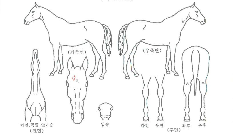 ���Ǽۼ��� ����,���,�޸�,�λ�,�ٸ��� Ư¡����