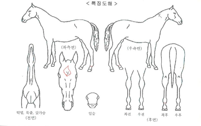 ���������� ����,���,�޸�,�λ�,�ٸ��� Ư¡����