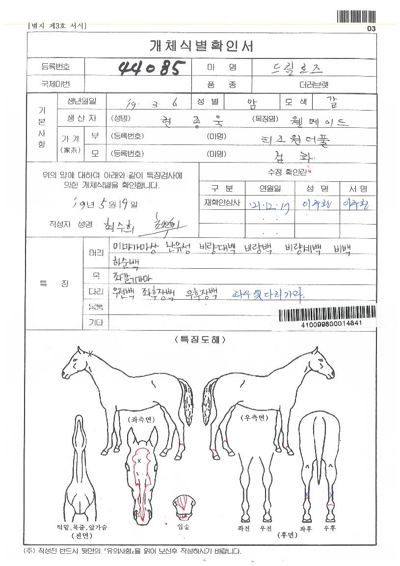 µå¸²·ÎÁîÀÇ Ãø¸é,¿ì¸é,µÞ¸é,µÎ»ó,´Ù¸®ÀÇ Æ¯Â¡µµÇØ