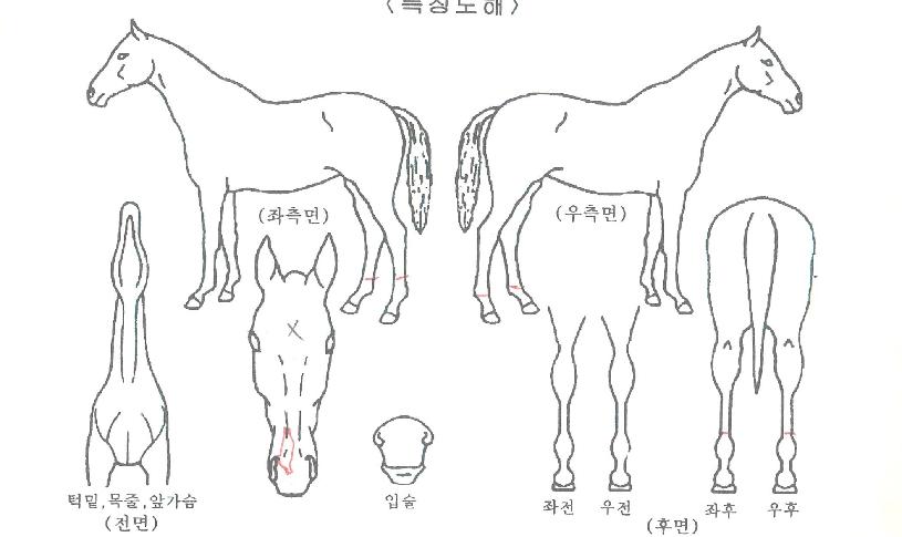 Ȩ������Ŀ�ڸ��� ����,���,�޸�,�λ�,�ٸ��� Ư¡����