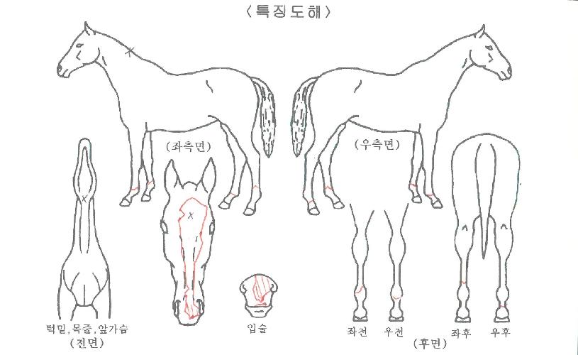 ������� ����,���,�޸�,�λ�,�ٸ��� Ư¡����