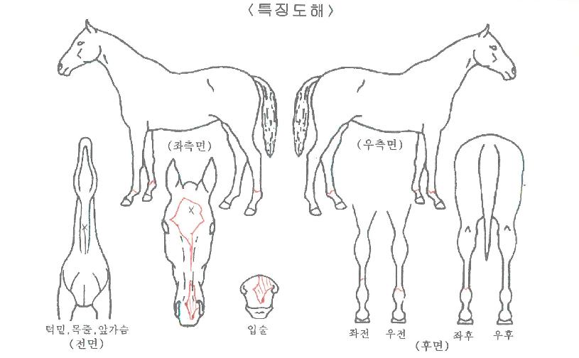 �����̽��� ����,���,�޸�,�λ�,�ٸ��� Ư¡����