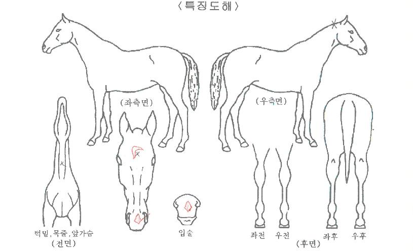 ���������� ����,���,�޸�,�λ�,�ٸ��� Ư¡����