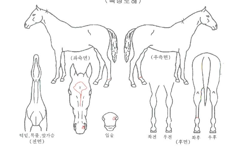 ���ֽ�Ÿ�� ����,���,�޸�,�λ�,�ٸ��� Ư¡����