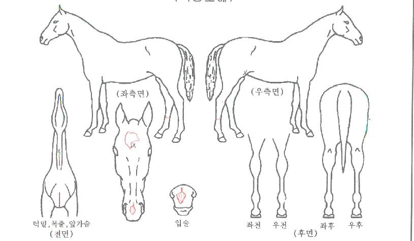 �ε��������� ����,���,�޸�,�λ�,�ٸ��� Ư¡����