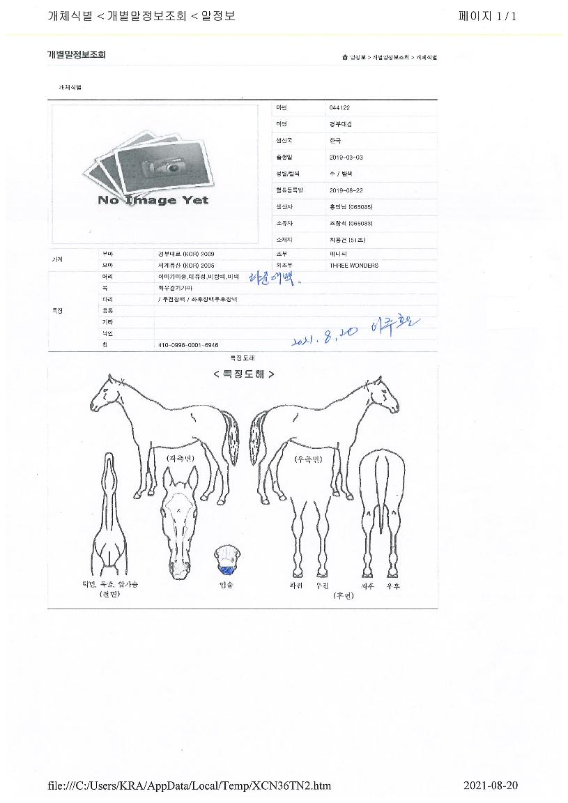 °æºÎ´ë°ËÀÇ Ãø¸é,¿ì¸é,µÞ¸é,µÎ»ó,´Ù¸®ÀÇ Æ¯Â¡µµÇØ