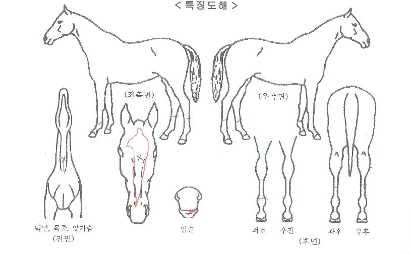 �õ�ķ���� ����,���,�޸�,�λ�,�ٸ��� Ư¡����