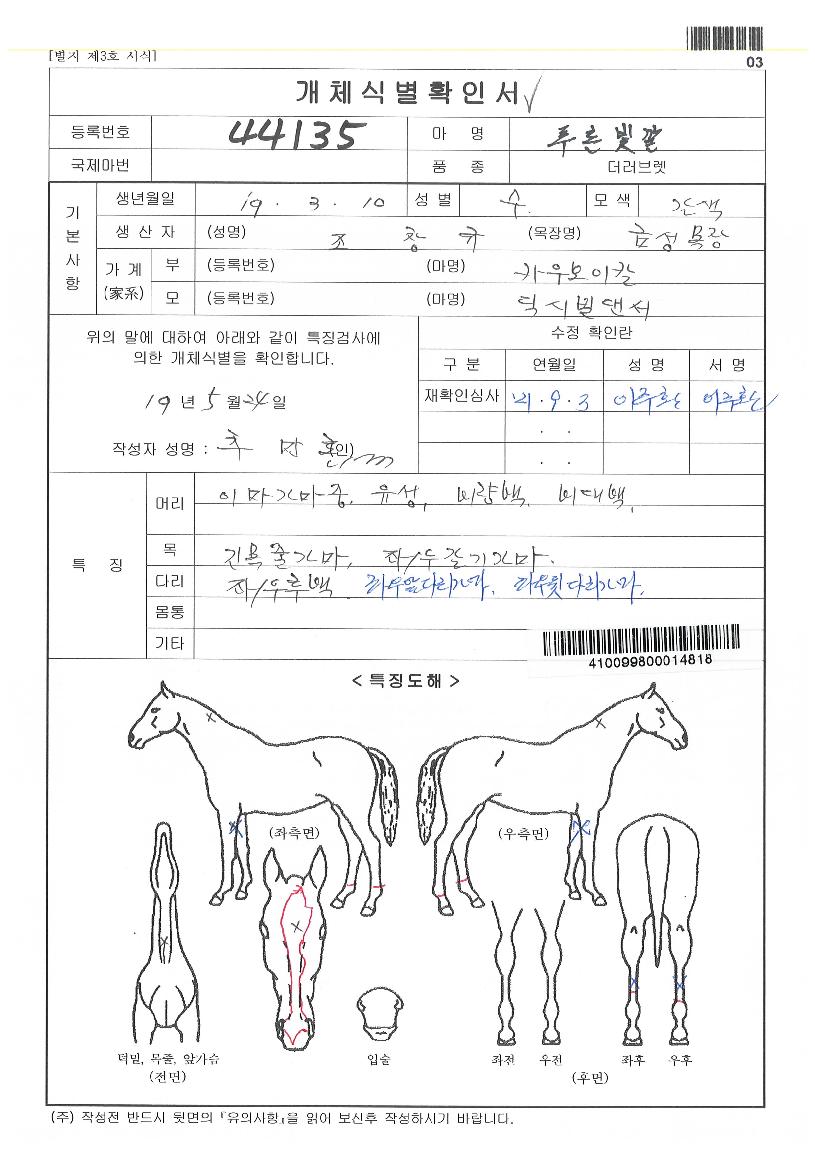 Ǫ¸¥ºû±òÀÇ Ãø¸é,¿ì¸é,µÞ¸é,µÎ»ó,´Ù¸®ÀÇ Æ¯Â¡µµÇØ