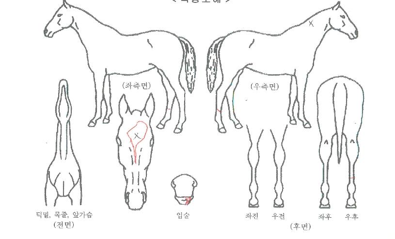 �����÷��� ����,���,�޸�,�λ�,�ٸ��� Ư¡����