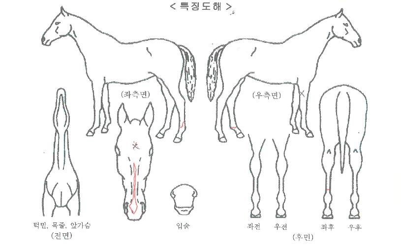 �������ڸ��� ����,���,�޸�,�λ�,�ٸ��� Ư¡����