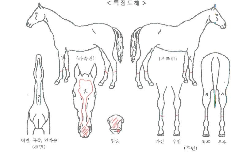 ������������ ����,���,�޸�,�λ�,�ٸ��� Ư¡����