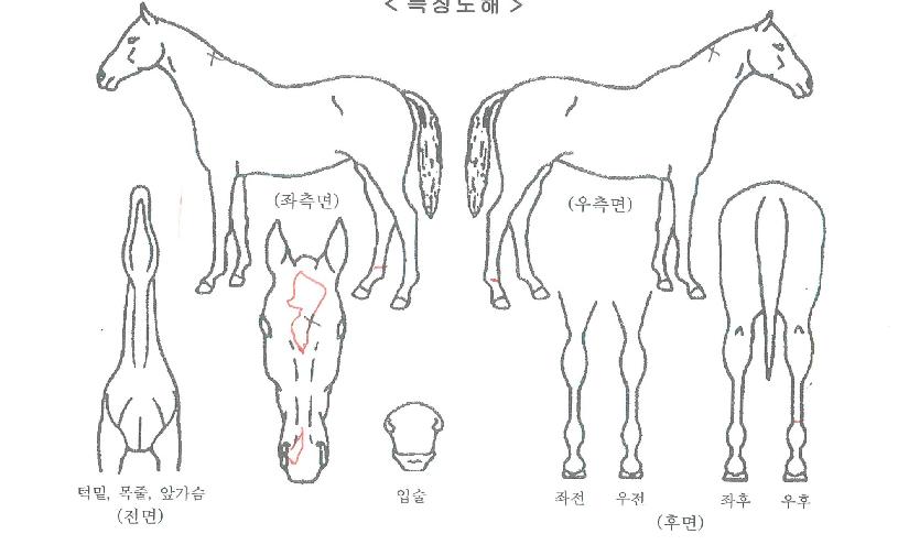 ��Ÿ��ƽ������ ����,���,�޸�,�λ�,�ٸ��� Ư¡����