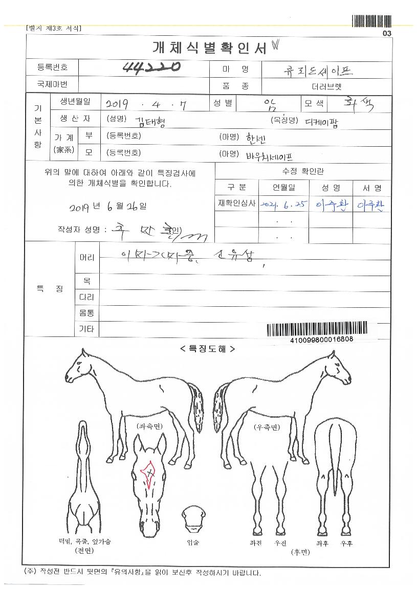 Å¥Çǵ弼ÀÌÇÁÀÇ Ãø¸é,¿ì¸é,µÞ¸é,µÎ»ó,´Ù¸®ÀÇ Æ¯Â¡µµÇØ