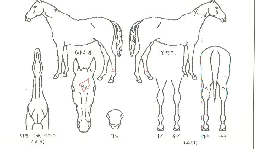 ���ý�Ÿ�� ����,���,�޸�,�λ�,�ٸ��� Ư¡����