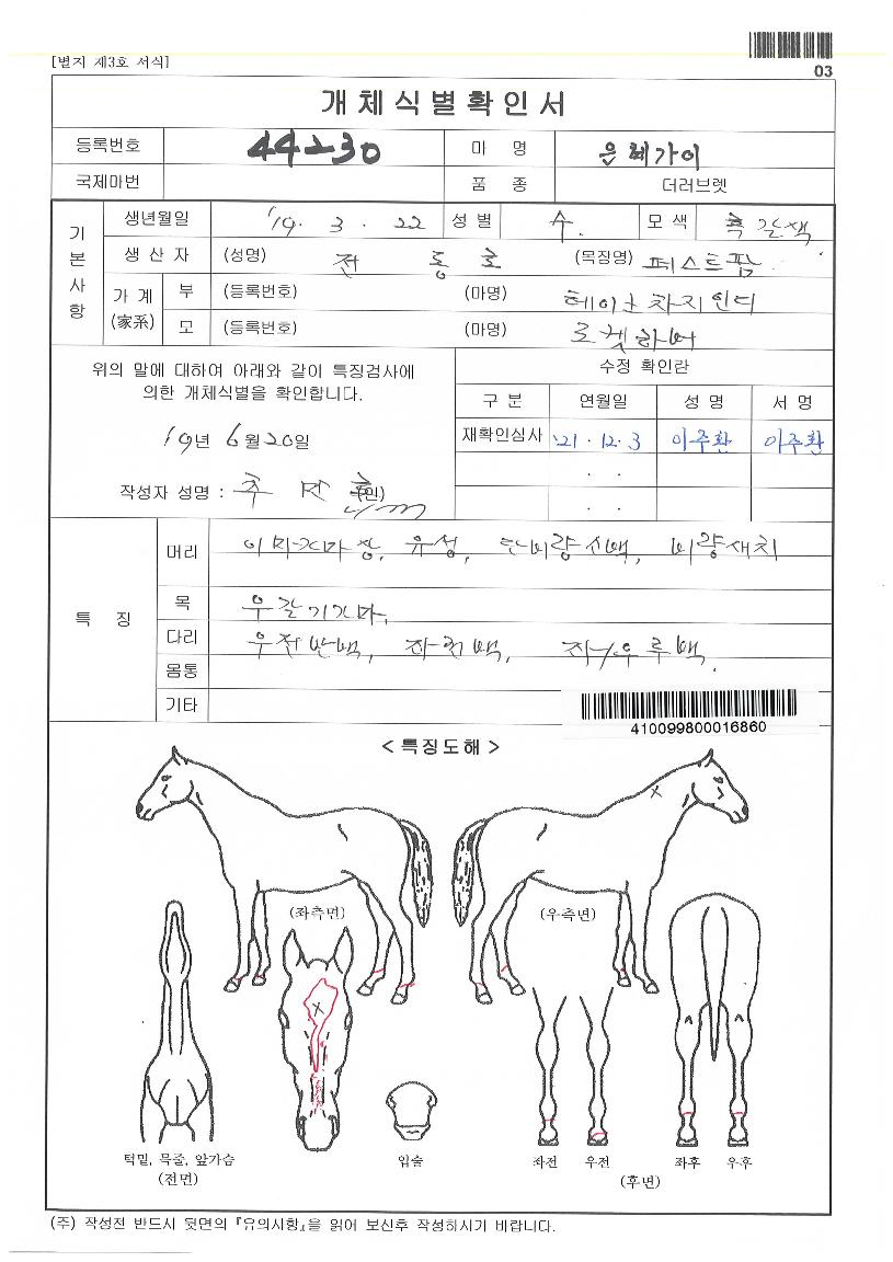 ÀºÇý°¡ÀÌÀÇ Ãø¸é,¿ì¸é,µÞ¸é,µÎ»ó,´Ù¸®ÀÇ Æ¯Â¡µµÇØ