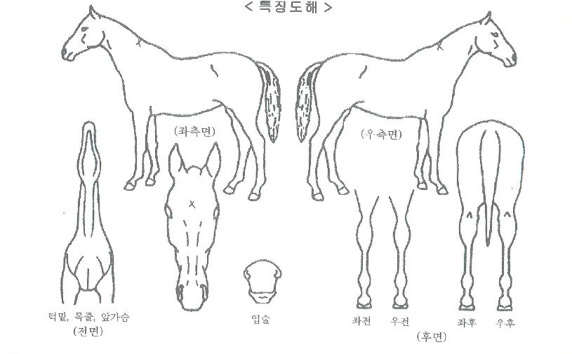 ��Ƽ������ ����,���,�޸�,�λ�,�ٸ��� Ư¡����