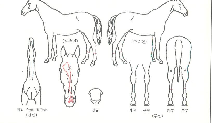 �������� ����,���,�޸�,�λ�,�ٸ��� Ư¡����