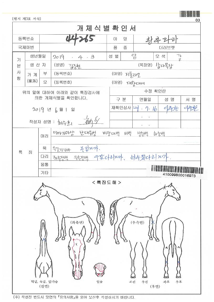 ȲÈĸ¶¸¶ÀÇ Ãø¸é,¿ì¸é,µÞ¸é,µÎ»ó,´Ù¸®ÀÇ Æ¯Â¡µµÇØ