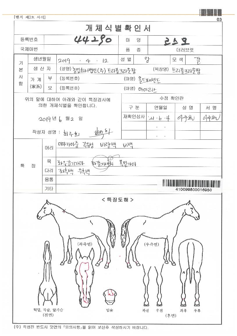 ÄÚ½º¸ðÀÇ Ãø¸é,¿ì¸é,µÞ¸é,µÎ»ó,´Ù¸®ÀÇ Æ¯Â¡µµÇØ