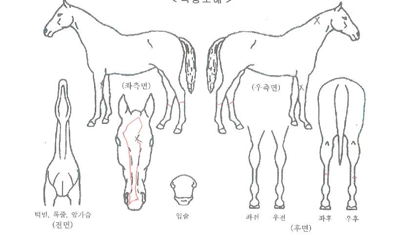 �������� ����,���,�޸�,�λ�,�ٸ��� Ư¡����