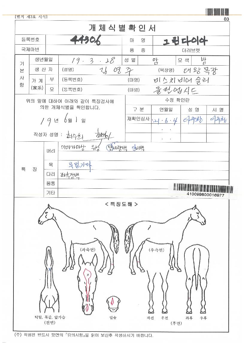 �׸����̾��� ����,���,�޸�,�λ�,�ٸ��� Ư¡����