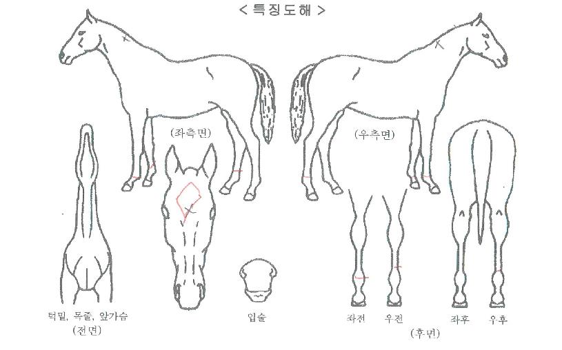 �̽����� ����,���,�޸�,�λ�,�ٸ��� Ư¡����