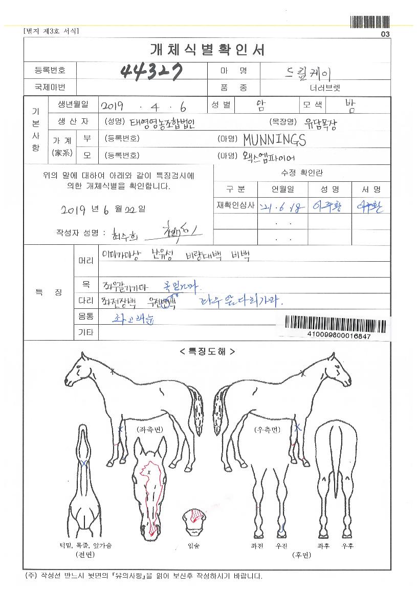 µå¸²ÄÉÀÌÀÇ Ãø¸é,¿ì¸é,µÞ¸é,µÎ»ó,´Ù¸®ÀÇ Æ¯Â¡µµÇØ